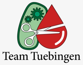 Igem - Tuebingen@gmail - Com - Five Minute Lean: A Super-quick Guide It Again #5434854