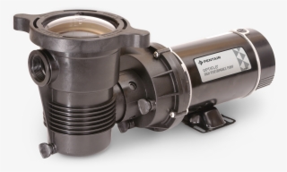 Cool Off With The Whole Family This Year - Pentair Optiflo #5435537