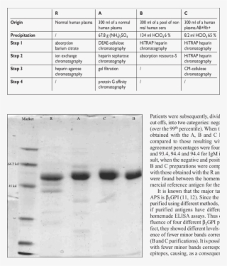 Sds/page Of Different Β2gpi Preparations - Document #5435540
