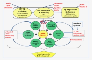Viewdownloadnew - Amyloid Beta Pathogenesis #5436004