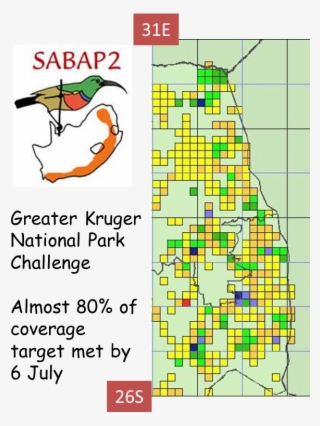 Greater Knp - Illustration #5436132