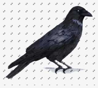 Crow - Crow Painting #5437948