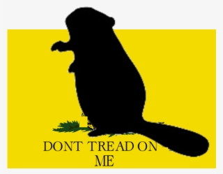 Texas - Dont Tread On Me Flag #5437954