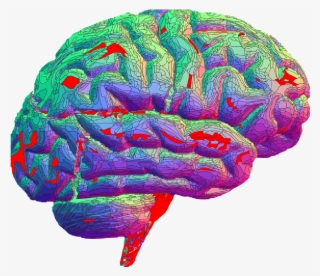 This Is What Asperger's Syndrome Is Like - Brain Transparent #5439949