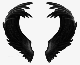 Black Wings #5440350