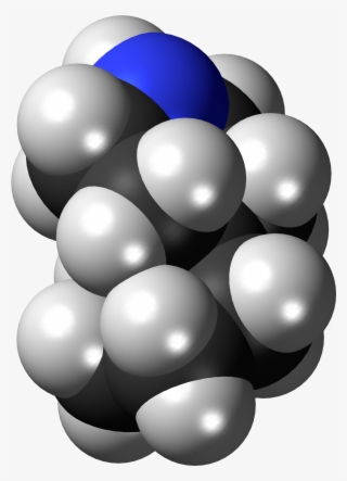 Azaspirodecane 3d Spacefill - Azaspirodecane #5442087 Azaspirodecane 3d Spacefill - Azaspirodecane #5442087