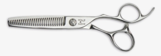 Scissors #5442613