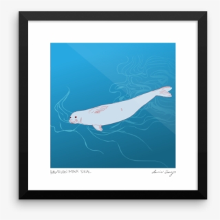 Hawaiian Monk Seal Print - Hawaiian Monk Seal #5443016