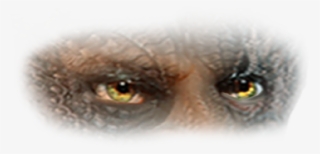 The Great Deception: Can The European Union Survive? #5444107