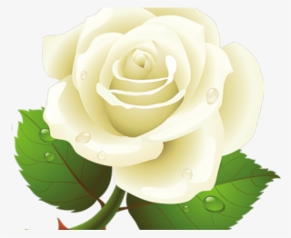 White Rose Clipart Yellow - Rose White Yellow Png #5445152