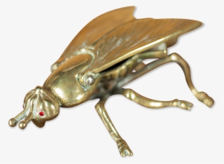 Brass #5448082