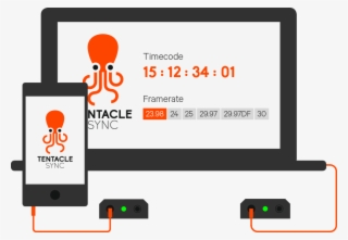 Tentacle Setup - Sync #5450588