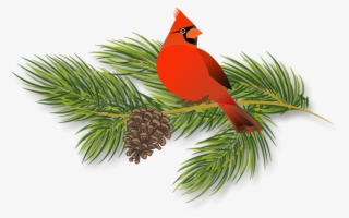 Holiday Pines Campground - Red Cardinal Greeting Cards #5451066