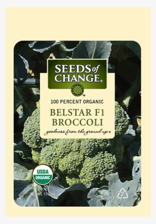 Organic Belstar F-1 Broccoli Seeds - Seeds Of Change #5452043