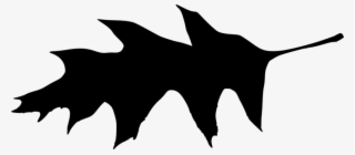Free Png Leaf Silhouette Png Images Transparent - Leaf #5452795