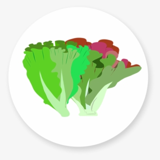 Green Leaf And Red Leaf Lettuce #5453953