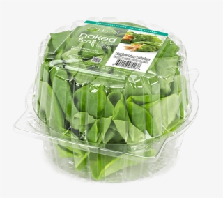 Butter Clam 1ct New - Eggplant #5454001