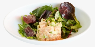 Tuna Tartar - Dental Calculus #5454746