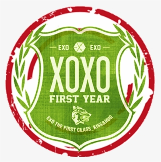 First Year, The Most Beautiful Year With Exo #5456564