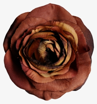 Hand Painted Popular Camel Flower Png Transparent #5458492