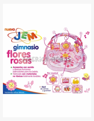Gimnasio Flores Rosas #5458924