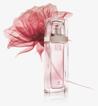 A Máxima Rosa Da Rosa - Perfume Esta Flor De Natura #5459052