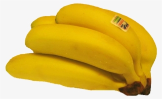 Bananes Frécinette - Banana #5459191
