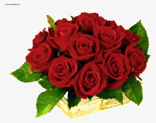 Rojas Y Flores Rosatel - Dzień Dobry Miłego Dnia #5459433
