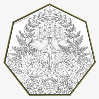 It Features A Lunar Moth, Ferns, Leaves & Geometric - Portable Network Graphics #5460395