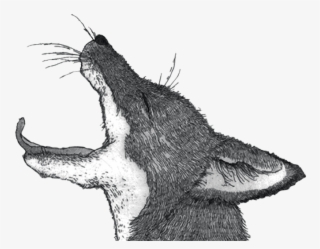 Fox Dancer - Tongue Dancer Wine #5461896