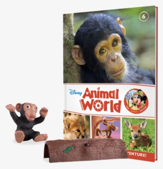 Book Six - Monkeys - 3d-postcard Schimpansen-baby #5462809