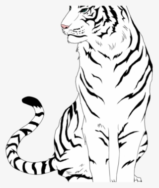 tiger body drawing