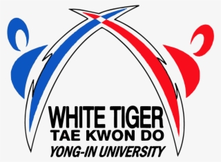 Graphic Design #5464555