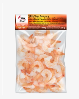Whiteleg Shrimp #5464968