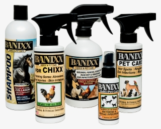 Banixx Is The Product Of Choice For Cat Owners For - Banixx Horse Shampoo - 16 Oz #5465835