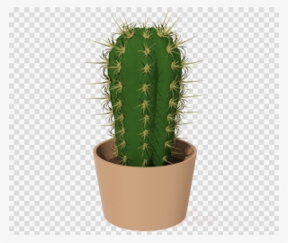 Cactus Png Clipart Cactus Clip Art - Key Icon No Background #5472105