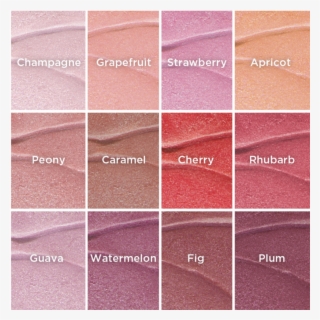 Burt's Bees Lip Shimmer - Watermelon Shimmer Burt's Bees #5473009