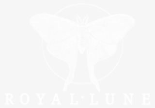 Lunar On Woman S Royal Lune Photo #5474341