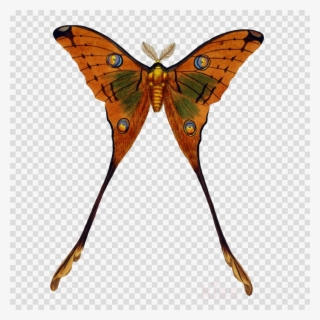 Black And White Drop Of Water Clipart Royalty-free #5474526