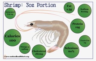 Shrimp (png) - Cartoon #5474932