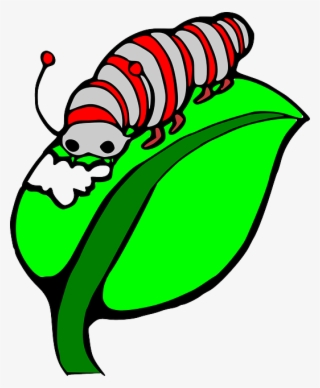 Caterpillar Clipart Leave - Caterpillar Eating Leaf Clip Art #5479021