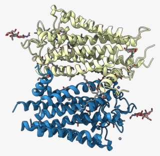 Asymmetric Unit - Illustration #5479473