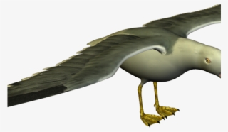 Seagull Clipart Flock Seagulls - Funny Seagulls #5480116 Seagull Clipart Flock Seagulls - Funny Seagulls #5480116