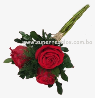 Bouquet Rosas Envi Desayunos - Garden Roses #5480410