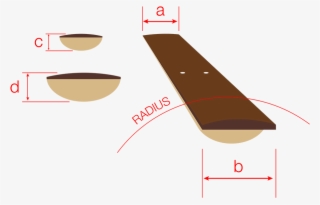 Radius Neck Ibanez Joe Satriani - Ibanez Js Neck Profile #5482232