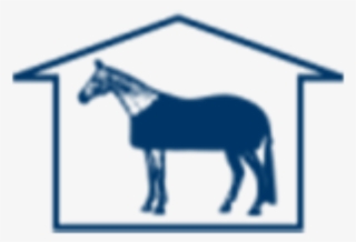 Four Seasons Horse Show #5482500