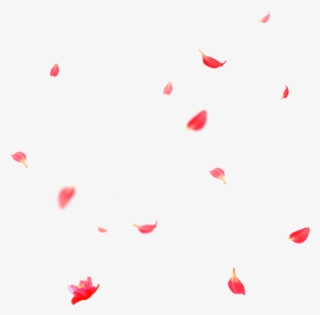 Beautiful Flower Petals Falling Png - Petal #5482883