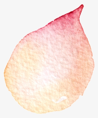 Oval Petal Transparent Decorative - Oleander #5483296