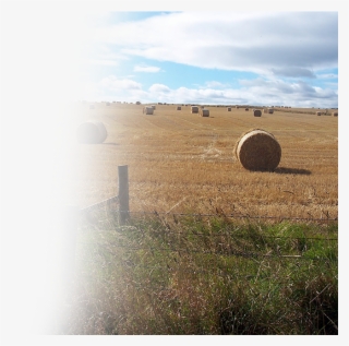 Farming-customers 01 - Agriculture #5483402