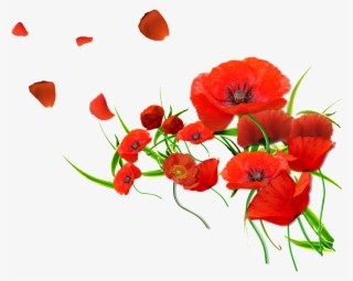 Red Petals Are Beautiful And Warm #5483447